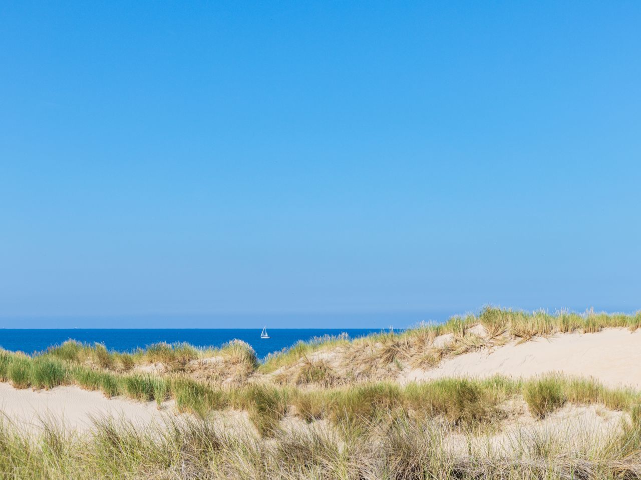 3 Tage nahe der niederländischen Nordsee gelegen