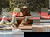 6 Entspannungs-Tage mit HP im Alpenpark Resort