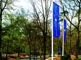 3 Tage Waldhotel in Brabant – Ruhe & Natur erleben