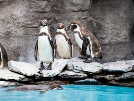 Wanderurlaub Pfälzerwald inkl. Halbpension | 5 Tage