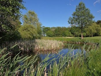 2 Tage mit HP im Golf Resort Semlin am See