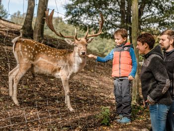 tierisch gut - tierisch WILD - Halbpension