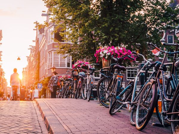 3 Tage auf Erkundungstour durch Amsterdam mit Dinner Halbpension