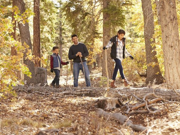 Wandern & Erholung im Harz: Mythen & Legenden, 5 Tage in Langelsheim Halbpension