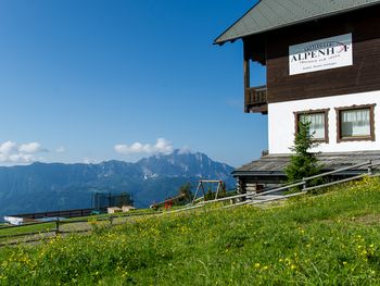Bild 7 von 7
