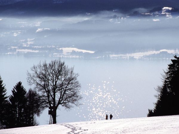 3 Tage -2  Nächte - Ihre Zeit - Hotel Alpenrose in Au (Vorarlberg)