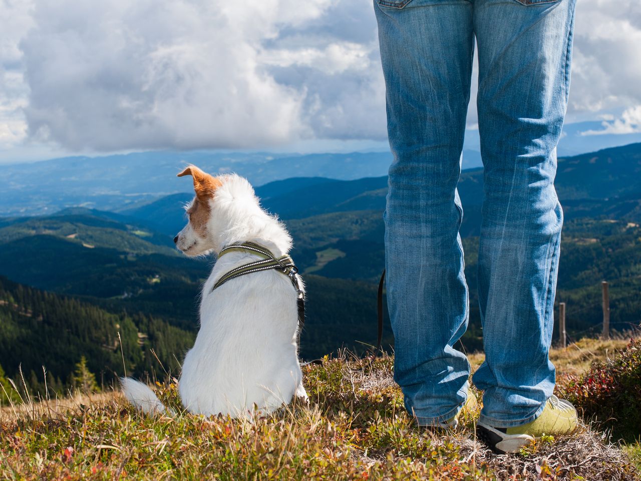 Die Gipfel der Region Nockberge genießen - 7 Tage