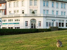 Borkum: Einfach an die Nordsee - 5 Tage
