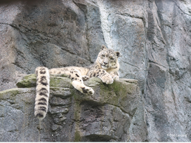 Zoo Leipzig mit Hotel