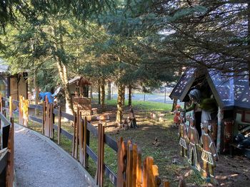 Sächsische Schweiz: Erlebnis-Familien-Auszeit mit HP