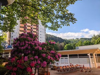 Auszeit im Harz inkl. Frühstück & Schwimmbad & Sauna