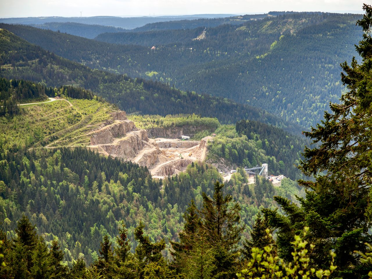 Tapetenwechsel Schwarzwald-Einfach was anderes sehen