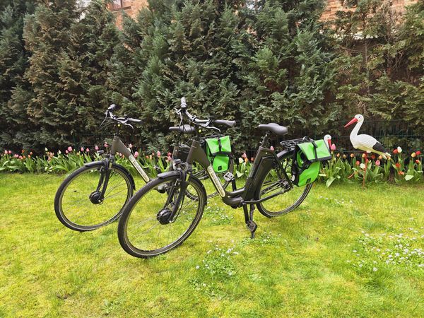 6 Tage Radwandern im Spreewald in Peitz Halbpension