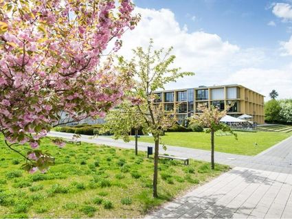 rugs Hotel am Schlosspark Lichtenwalde