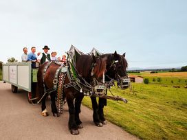 Zwischenstopp Spezial - im Brauereigasthof
