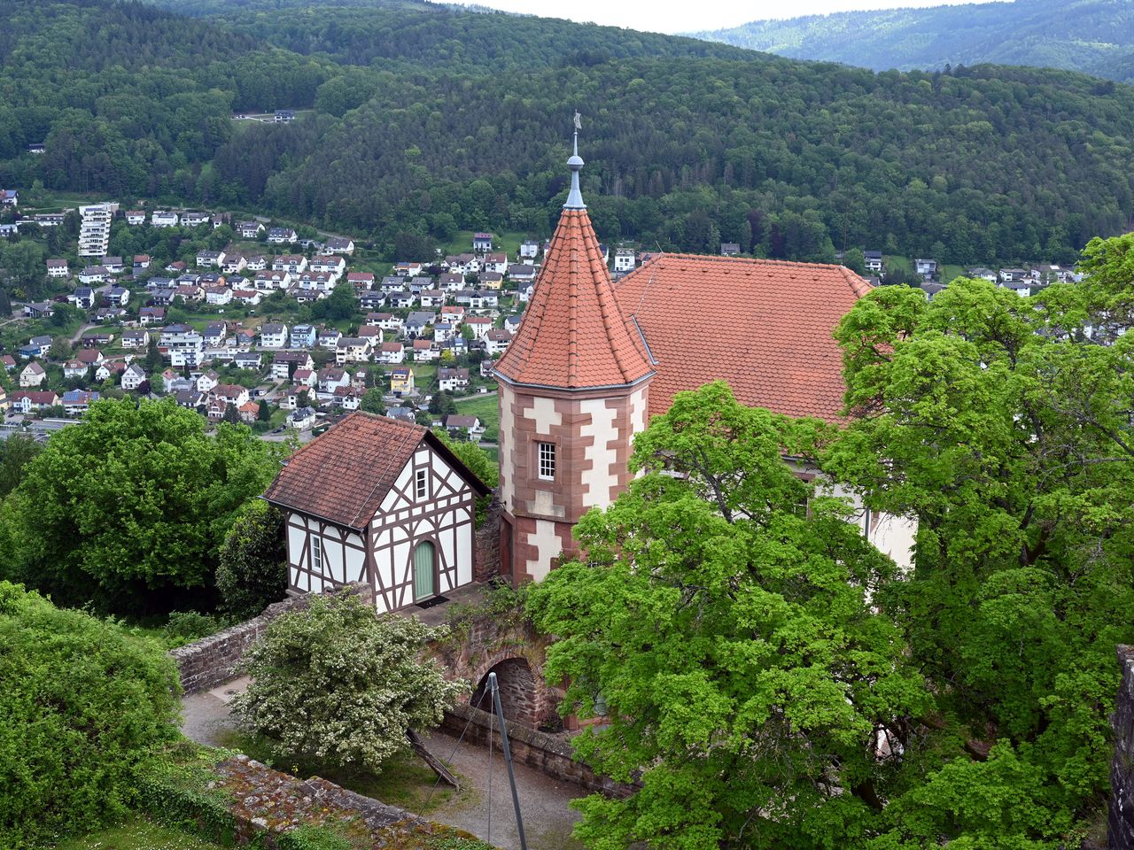 8 Tage Wanderspaß in der Region Rhein/Neckar