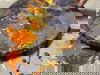 3 Tage Thüringer Wald: Acryl Fluid Malkurs