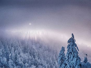 Weihnachtsziit - schöne Ziit