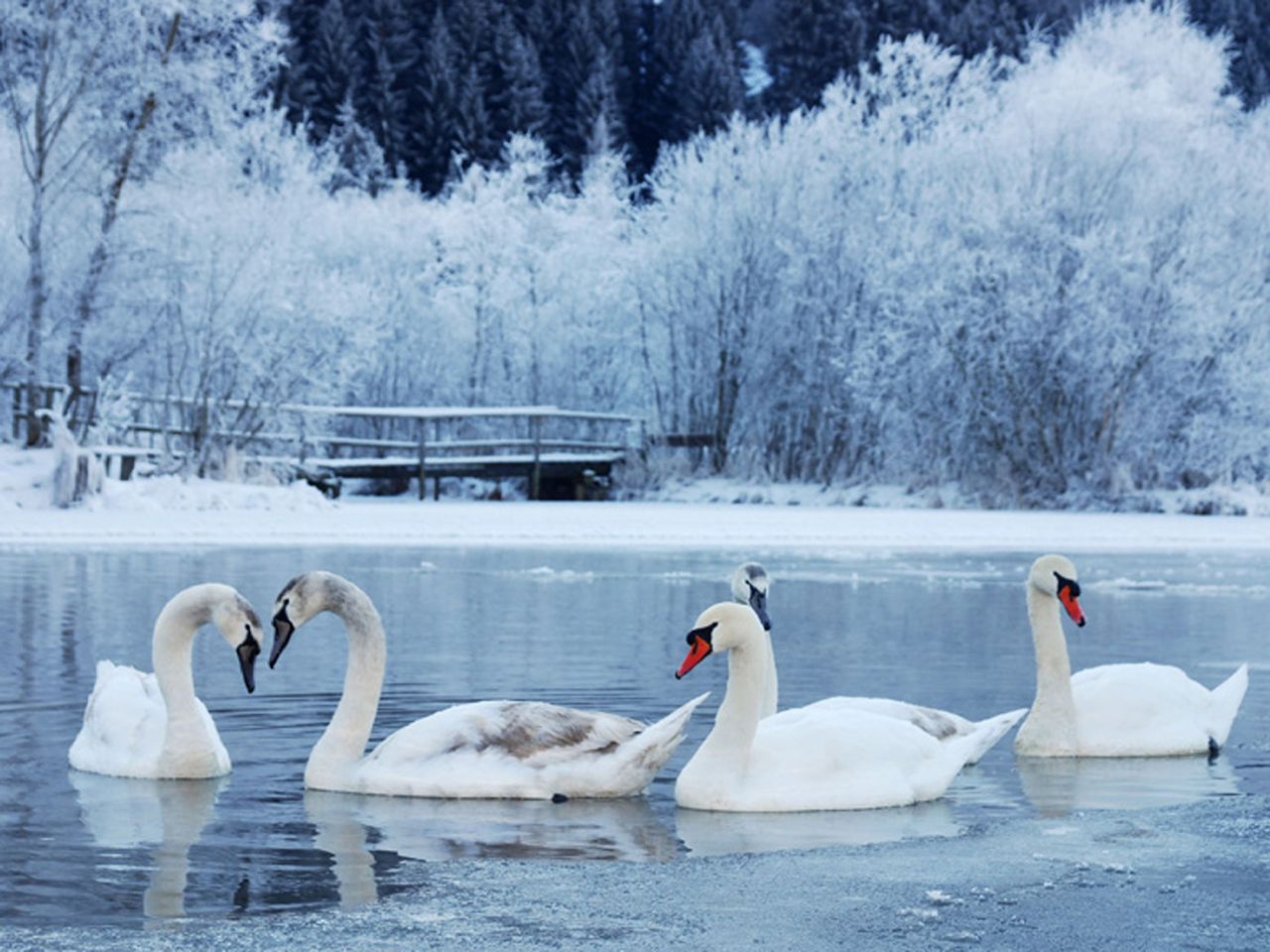 Winterschnäppchen am Beetzsee - 5 Tage inkl. HP plus