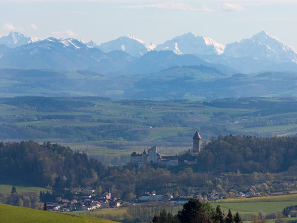 Willkommen im Strudengau! 3 Nächte Kurzurlaub mit HP im Landgasthof Schiefer Zur Zugbrücke