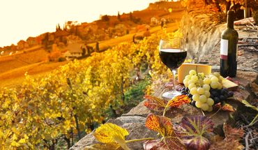 Ein Glas Wein bei traumhaftem Ausblick