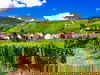 Europa-Park & Elsass vereint - 2 Tage