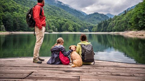 Wellness Wochenende mit Hund