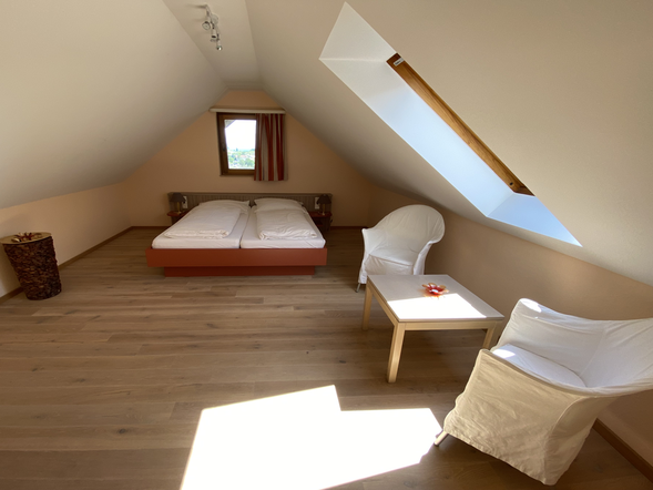 Apartment Affenberg