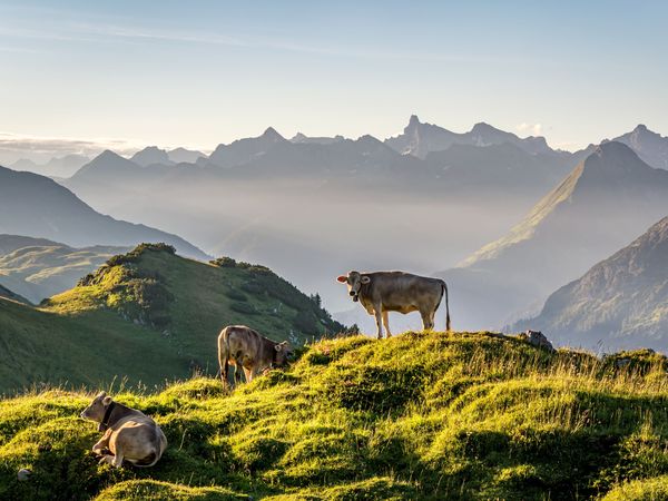 2 Tage AUSZEIT in den Bergen im Doppelzimmer – 2 Nächte in Au (Vorarlberg) inkl. Frühstück