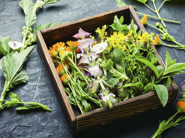 3 Tage Entspannte Ostertage im Sauerland in Bad Laasphe, Nordrhein-Westfalen inkl. Halbpension