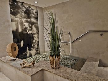 Sommerzeit 4 Tage ARRSSW