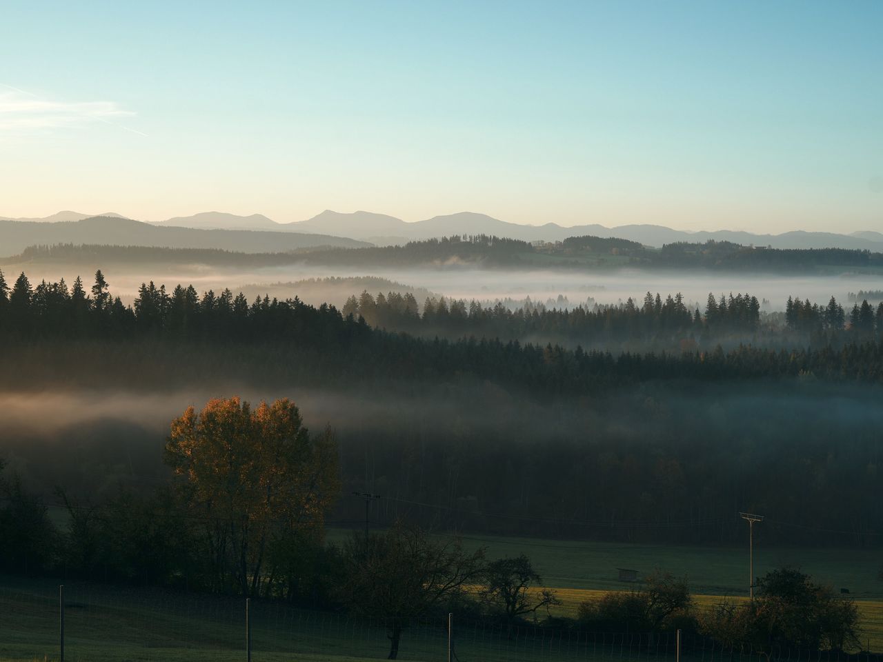 Frühjahrserwachen im Allgäu - 3 Tage pure Erholung