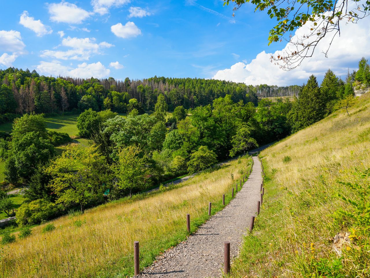 Last-Minute im Harz - Erleben Sie Natur pur im Harz