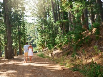 Bayerischer Wald für Individualisten / 3 Tage