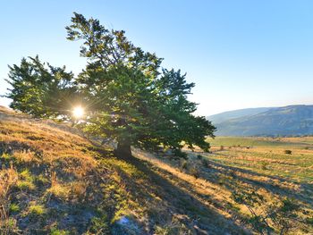 Der Hochrhöner | 3 Tage inkl. Halbpension