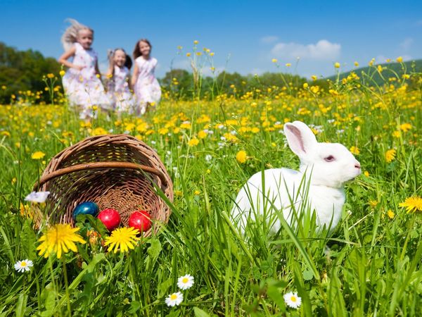 Oster-Eier-Spaß an der Ostsee – 4 Tage inkl. HP plus in Insel Poel, Mecklenburg-Vorpommern inkl. Halbpension Plus