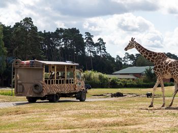 Serengeti Park Hodenhagen mit Hotel