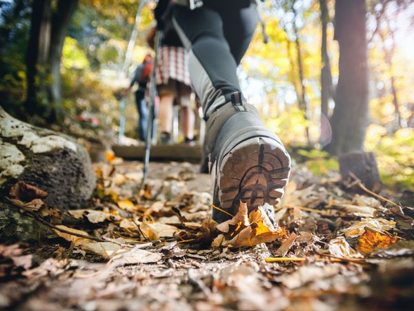 Schwarzwald für Individualisten inkl. HP | 5 Tage in Empfingen, Baden-Württemberg inkl. Halbpension