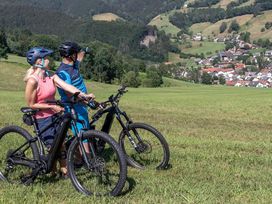 Radeln mit dem E-Bike - 4 Tage inkl. Lunchpaket