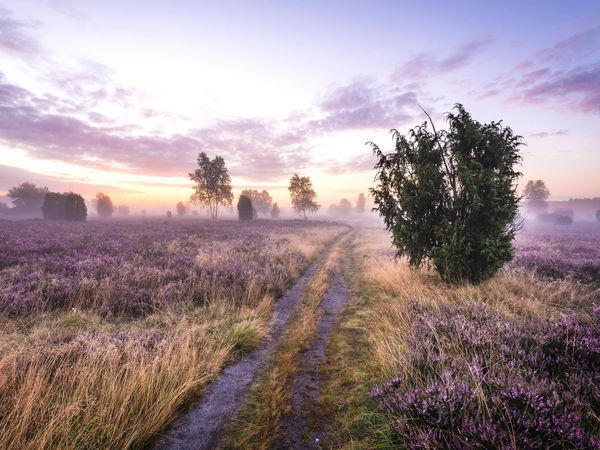 Lüneburger Heide – 7 Tage Abwechslung in Soltau, Niedersachsen inkl. Halbpension