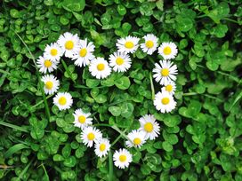 4 Tage Himmelfahrtskurztrip im Seehotel inkl. HP plus