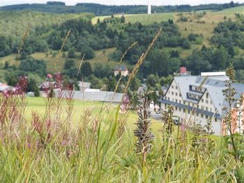 Eine Woche Erzgebirge mit Halbpension