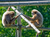 Opel-Zoo Tickets mit Hotel