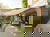 Therme Lindau und die historische Altstadt Wangen