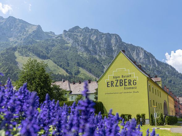 Erzberg Alpin Resort by Alps Residenz