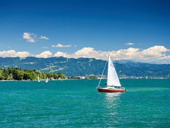 Blumige Farbenpracht-Insel Mainau im Bodensee | 5 T.