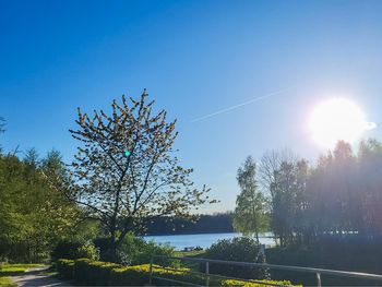 6 Tage kleine Ostfriesland-Auszeit inkl. HP plus