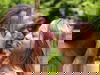 3 Tage - Entdecke das Neanderland mit Museum
