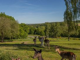 Harzer Kultur-Kurztrip inkl. Stadtführung Quedlinburg