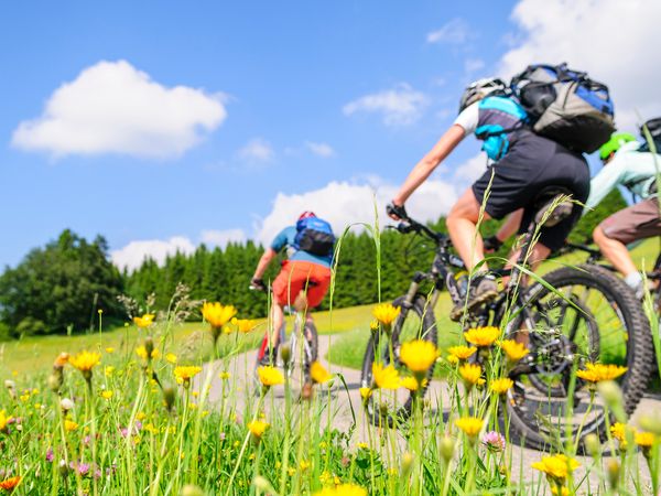 3 Tage Urlaub auf der Locarno-Muralto-Promenade, Tessin inkl. Frühstück